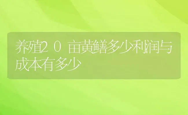 养殖20亩黄鳝多少利润与成本有多少 | 动物养殖百科