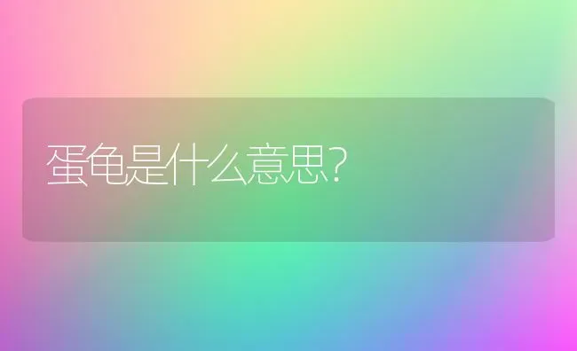 蛋龟是什么意思？ | 动物养殖问答