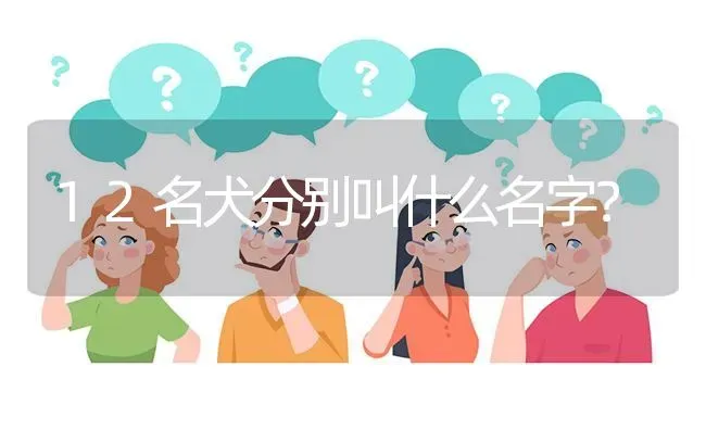 12名犬分别叫什么名字？ | 动物养殖问答