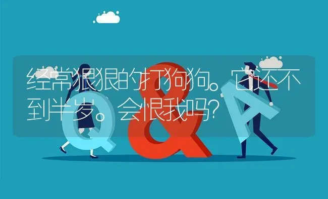 经常狠狠的打狗狗。它还不到半岁。会恨我吗？ | 动物养殖问答