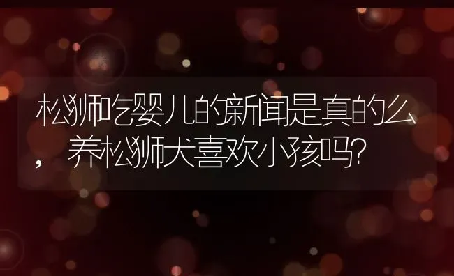 松狮吃婴儿的新闻是真的么,养松狮犬喜欢小孩吗？ | 宠物百科知识