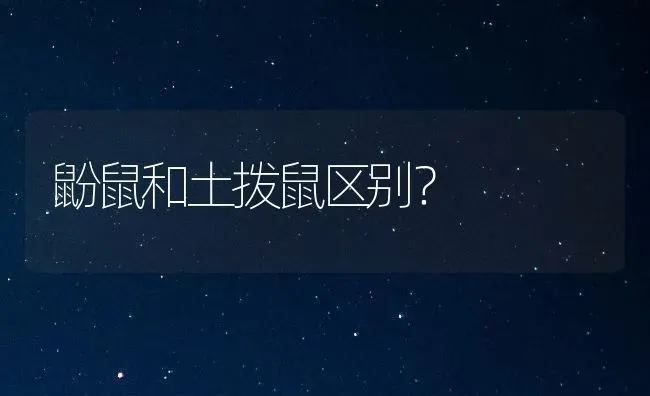 两个多月的猫咪托运容易死吗？ | 动物养殖问答