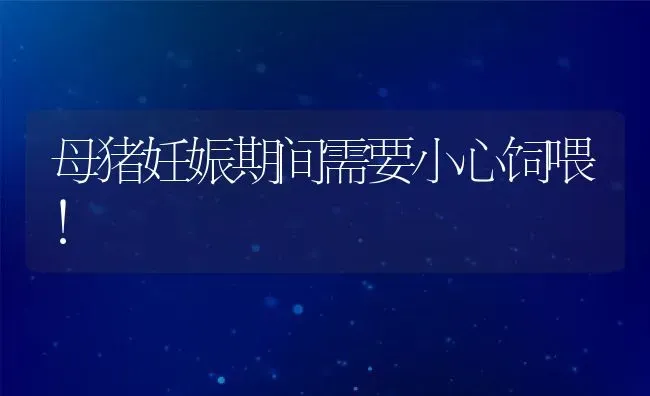 母猪妊娠期间需要小心饲喂！ | 动物养殖百科