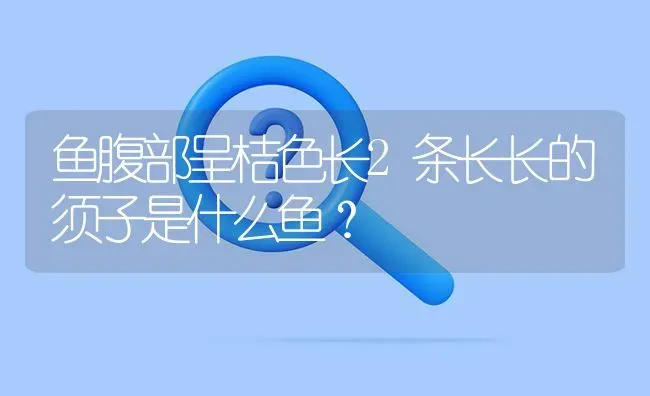 鱼腹部呈桔色长2条长长的须子是什么鱼？ | 鱼类宠物饲养