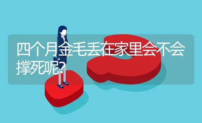 脸长的狗是什么品种？ | 动物养殖问答