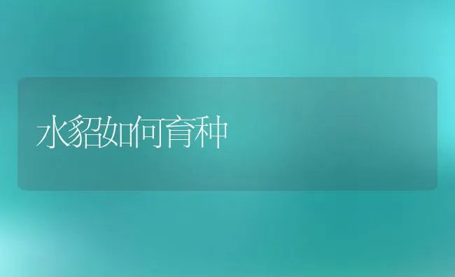 水貂如何育种 | 动物养殖学堂