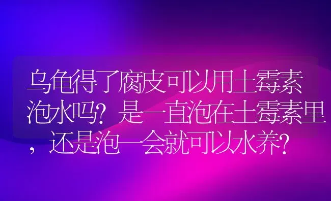 乌龟得了腐皮可以用土霉素泡水吗？是一直泡在土霉素里，还是泡一会就可以水养？ | 动物养殖问答