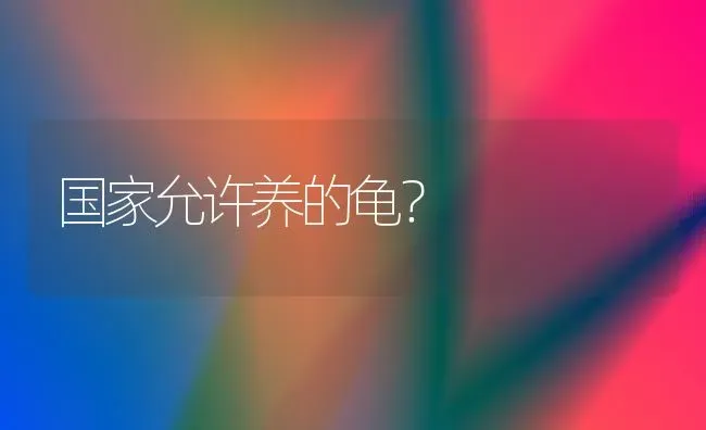 小猫鼻子干，热，是发烧了么，早？ | 动物养殖问答