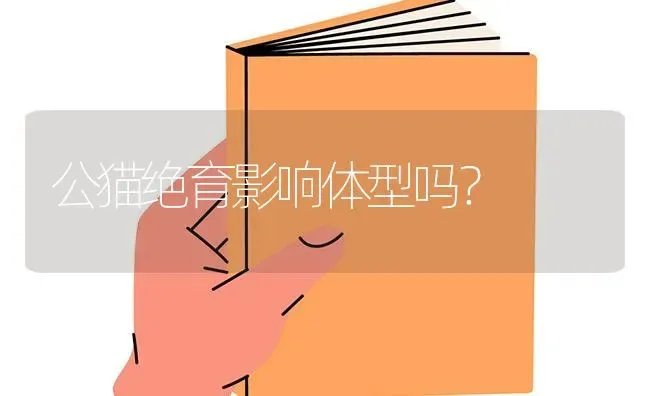 一个半月的吉娃娃几个小时喂一次？ | 动物养殖问答