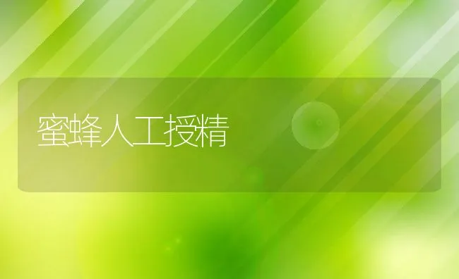 蜜蜂人工授精 | 动物养殖学堂