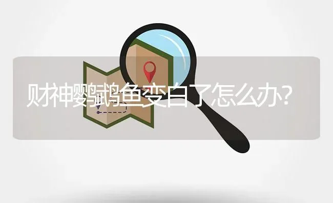 财神鹦鹉鱼变白了怎么办？ | 鱼类宠物饲养