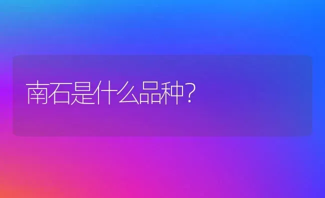 南石是什么品种？ | 动物养殖问答