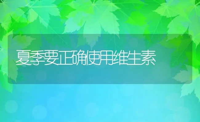 夏季要正确使用维生素 | 动物养殖饲料