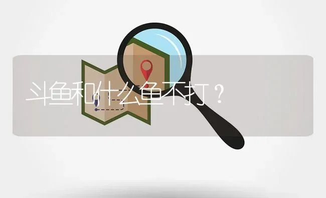 斗鱼和什么鱼不打？ | 鱼类宠物饲养