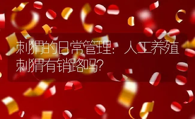 刺猬的日常管理：人工养殖刺猬有销路吗？ | 动物养殖百科