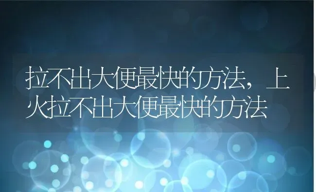 拉不出大便最快的方法,上火拉不出大便最快的方法 | 宠物百科知识