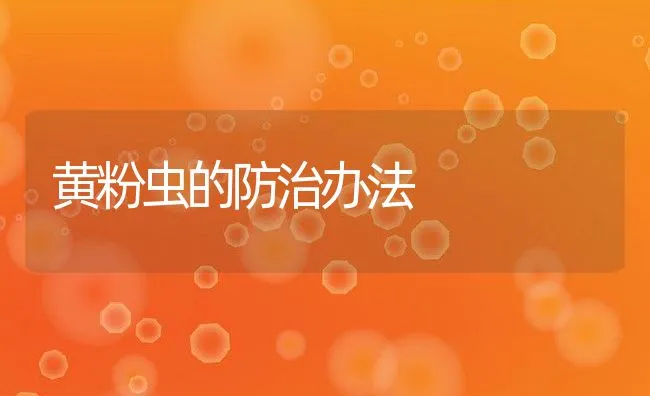 莲瓣兰主要病虫害的防治 | 海水养殖技术