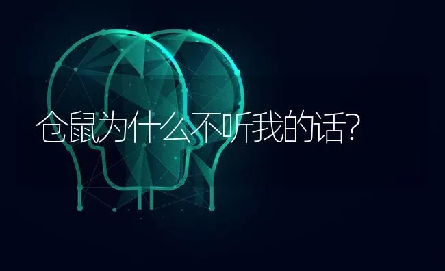 兔子让你翻肚皮是什么意思？ | 动物养殖问答