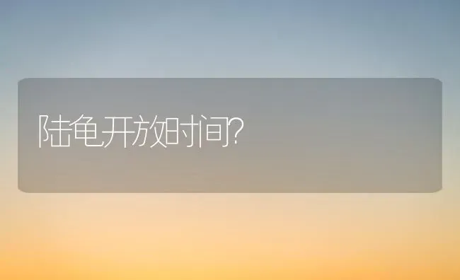 陆龟开放时间？ | 动物养殖问答