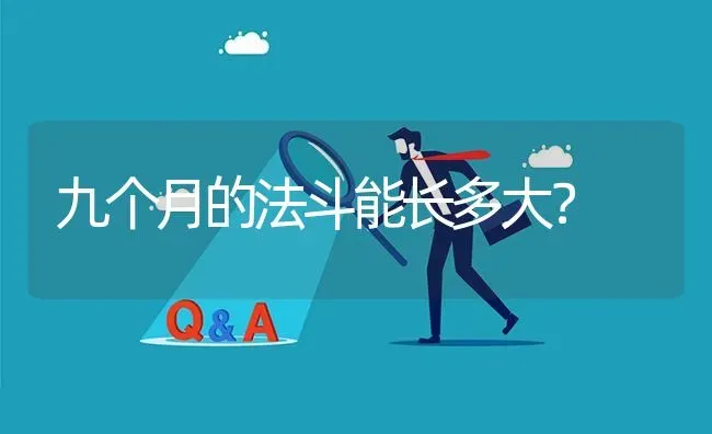 九个月的法斗能长多大？ | 动物养殖问答