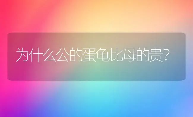 为什么公的蛋龟比母的贵？ | 动物养殖问答