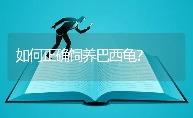 如何正确饲养巴西龟？ | 动物养殖问答