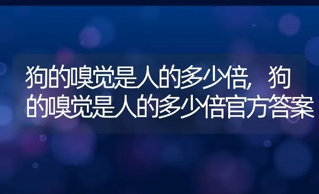 狗的嗅觉是人的多少倍,狗的嗅觉是人的多少倍官方答案 | 宠物百科知识