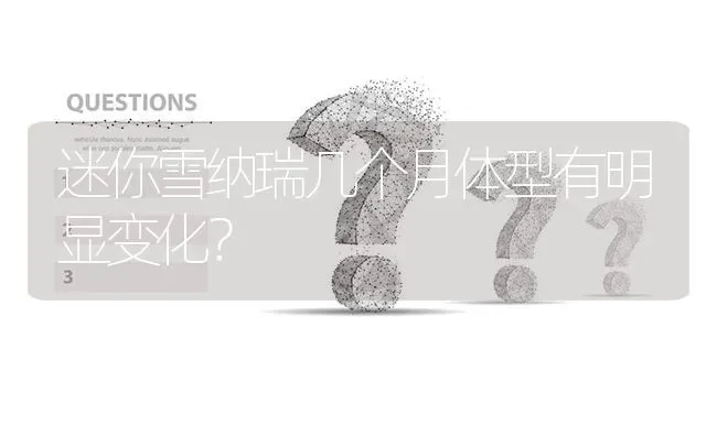 迷你雪纳瑞几个月体型有明显变化？ | 动物养殖问答