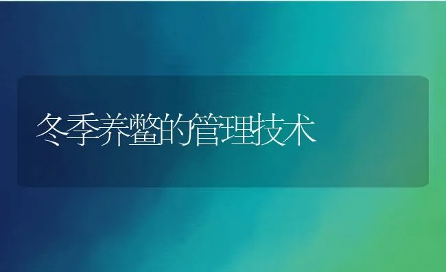 冬季养鳖的管理技术 | 水产养殖知识