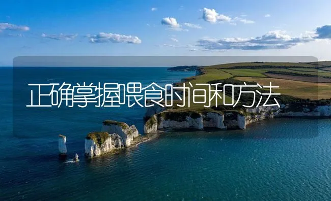 湘云鲫湘云鲤成鱼养殖技术 | 海水养殖技术