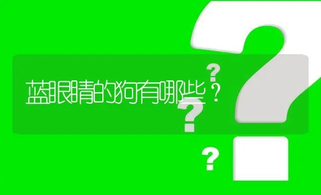 蓝眼睛的狗有哪些？ | 动物养殖问答