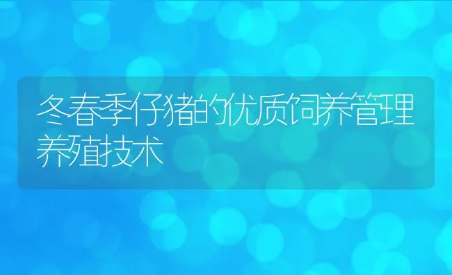 冬春季仔猪的优质饲养管理养殖技术 | 动物养殖学堂