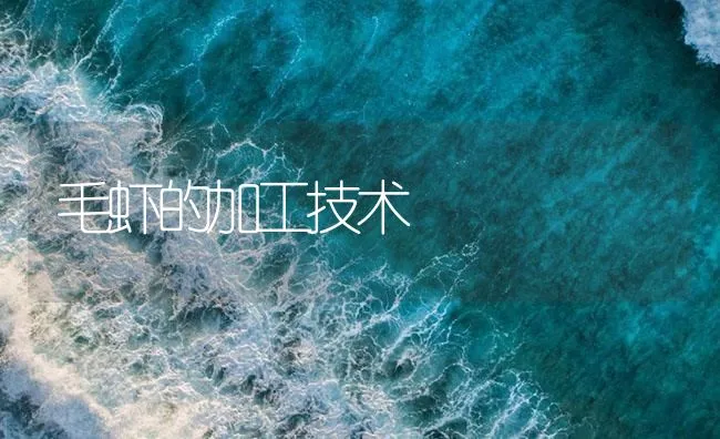 毛虾的加工技术 | 海水养殖技术