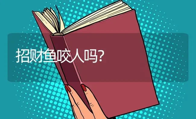 招财鱼咬人吗？ | 鱼类宠物饲养