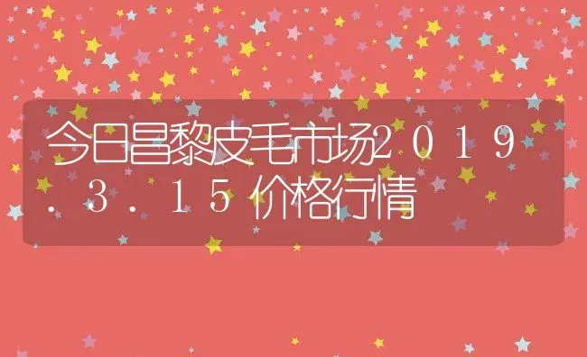 今日昌黎皮毛市场2019.3.15价格行情 | 动物养殖百科