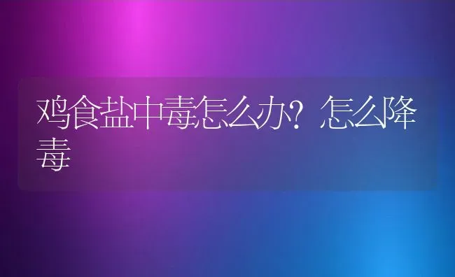 鸡食盐中毒怎么办？怎么降毒 | 动物养殖百科