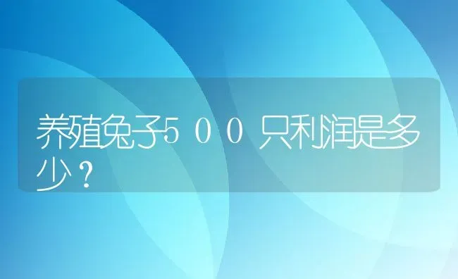 养殖兔子500只利润是多少？ | 动物养殖百科