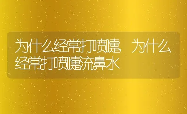 为什么经常打喷嚏,为什么经常打喷嚏流鼻水 | 宠物百科知识