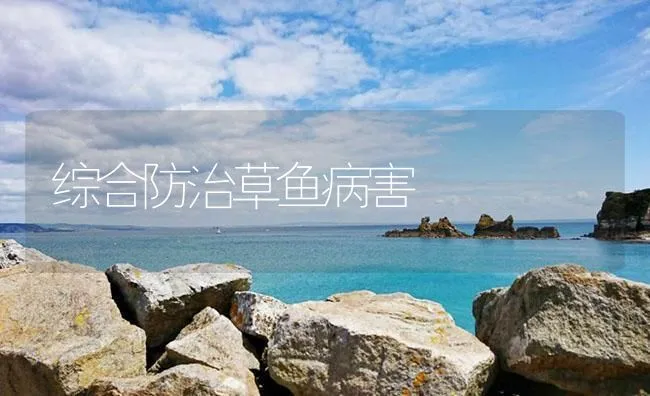 综合防治草鱼病害 | 海水养殖技术