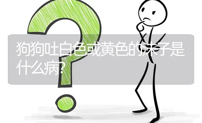 狗狗吐白色或黄色的沫子是什么病？ | 动物养殖问答