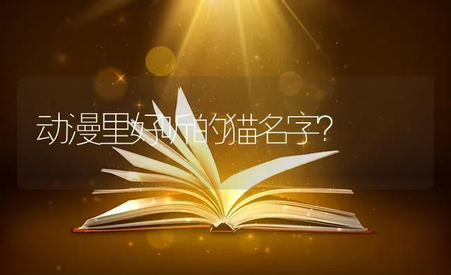 动漫里好听的猫名字？ | 动物养殖问答