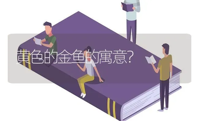 黄色的金鱼的寓意？ | 鱼类宠物饲养