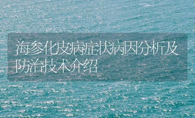 海参化皮病症状病因分析及防治技术介绍 | 海水养殖技术