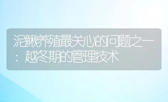 泥鳅养殖最关心的问题之一：越冬期的管理技术 | 动物养殖学堂