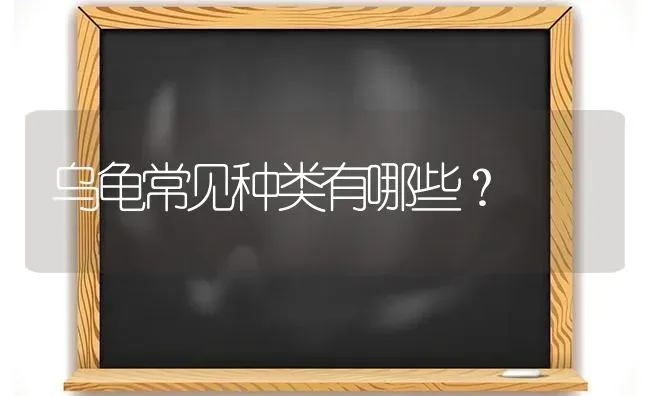 乌龟常见种类有哪些？ | 动物养殖问答