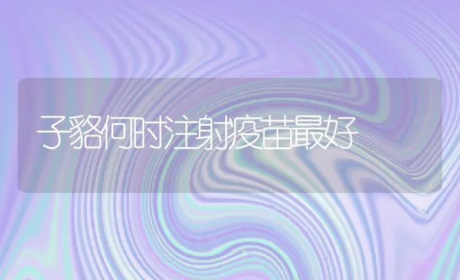 鳜鱼水霉病的防治 | 海水养殖技术