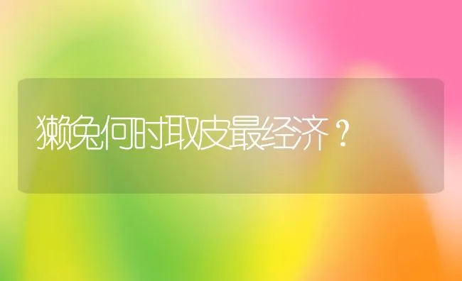 獭兔何时取皮最经济？ | 水产养殖知识