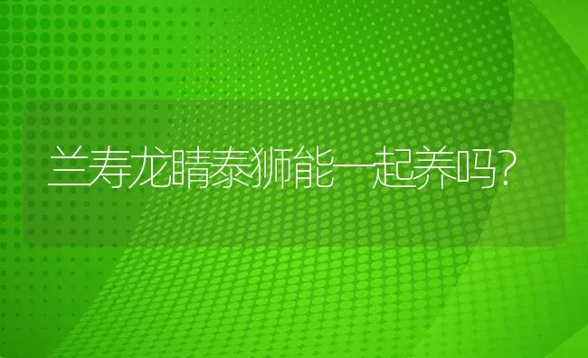 兰寿龙睛泰狮能一起养吗？ | 鱼类宠物饲养