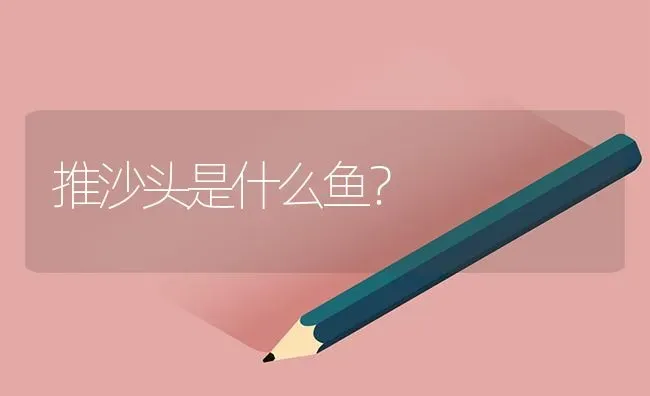 推沙头是什么鱼？ | 鱼类宠物饲养