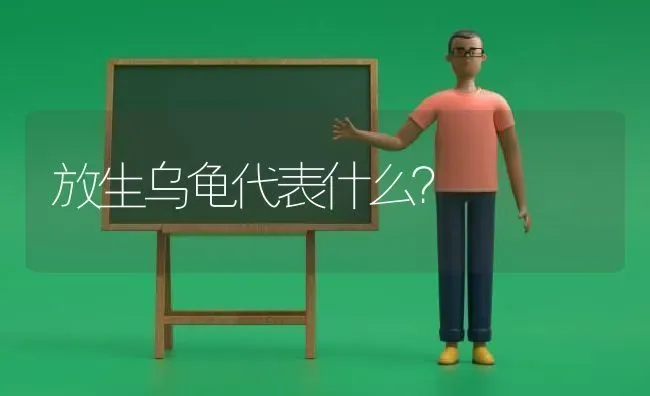 放生乌龟代表什么？ | 动物养殖问答